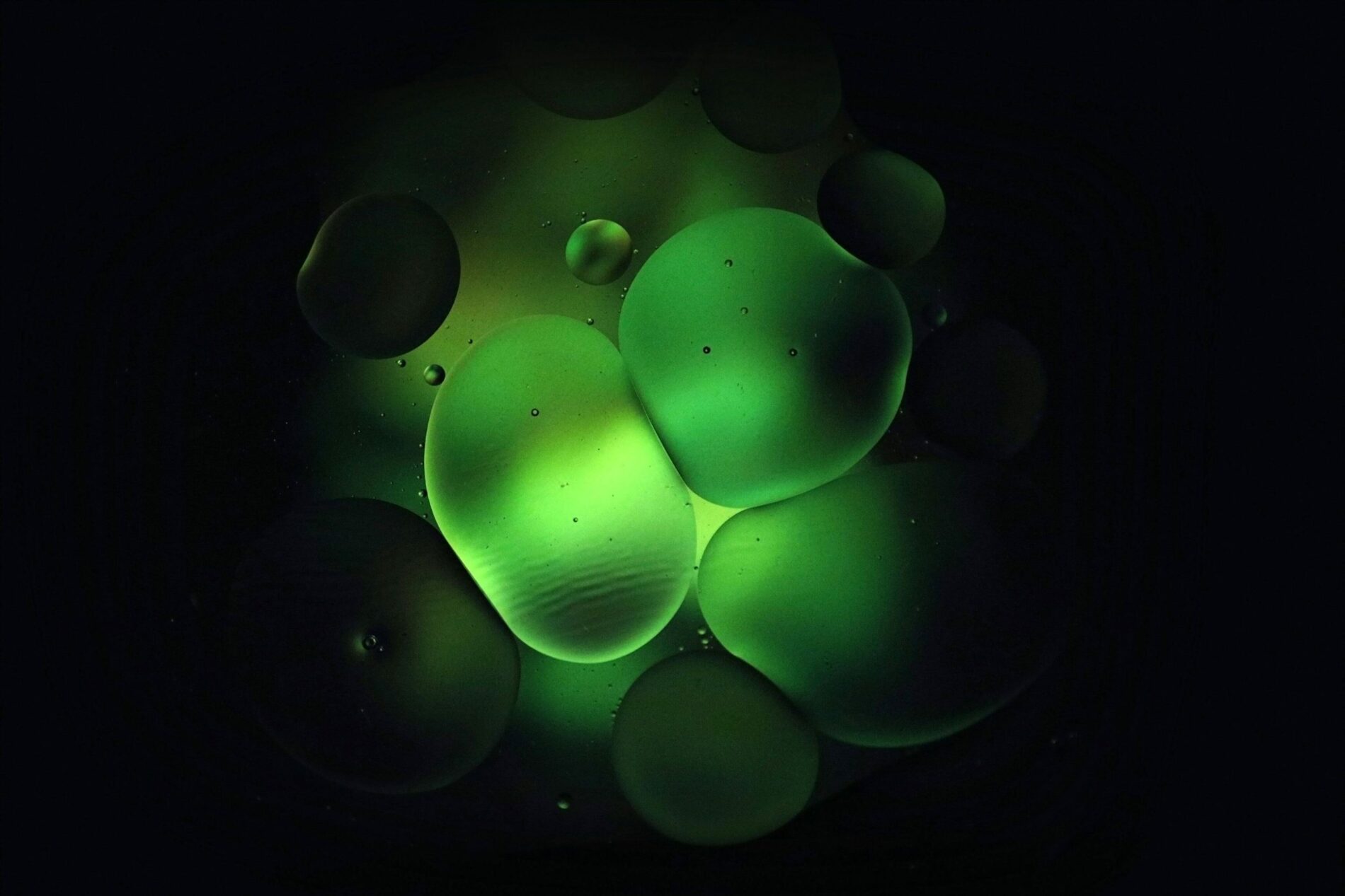 surowce chemiczne dystrybutor