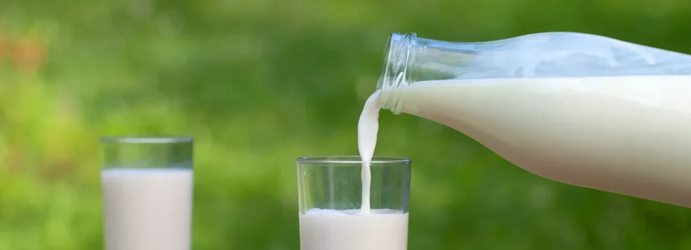 kwas mlekowy w żywności