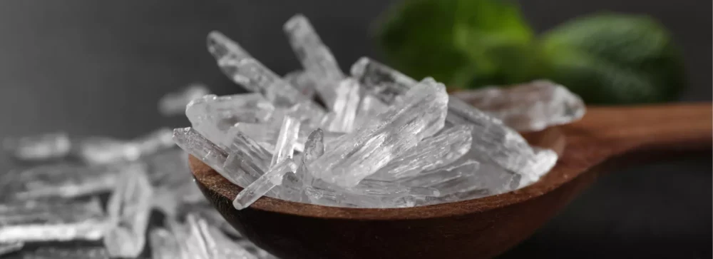 mentol w branży spożywczej - certyfikaty i dystrybucja